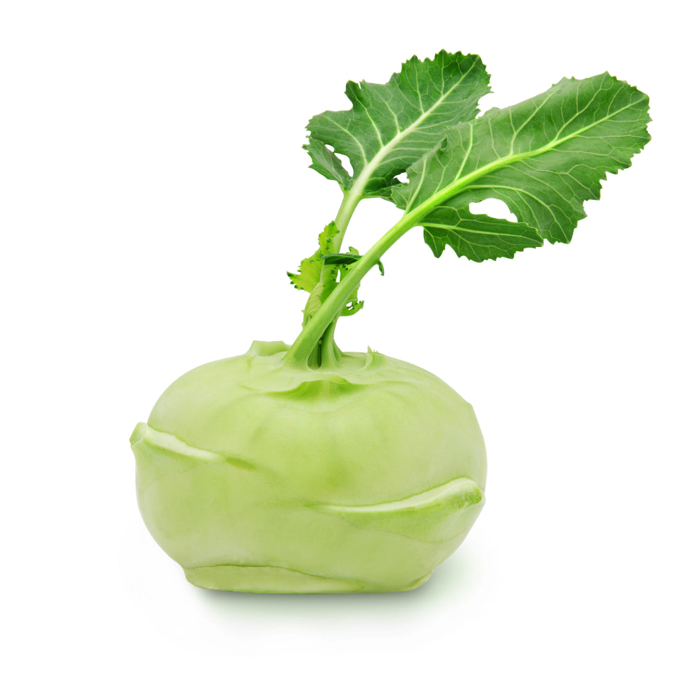 Kohlrabi (U-Ware)