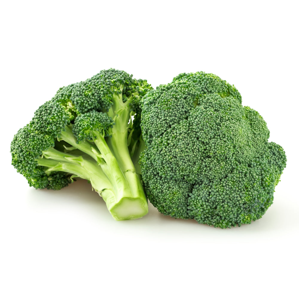 Brokkoli (U-Ware)