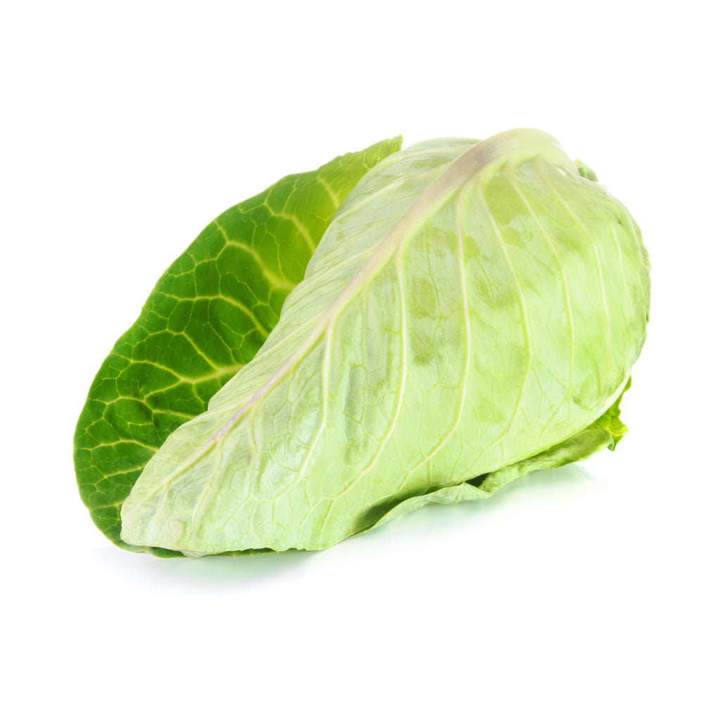 Spitzkohl (U-Ware)