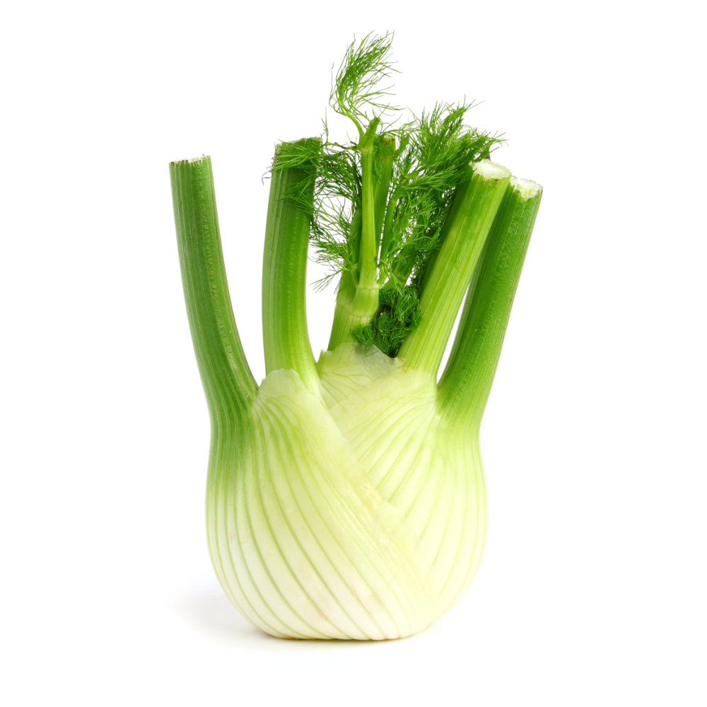 Fenchel