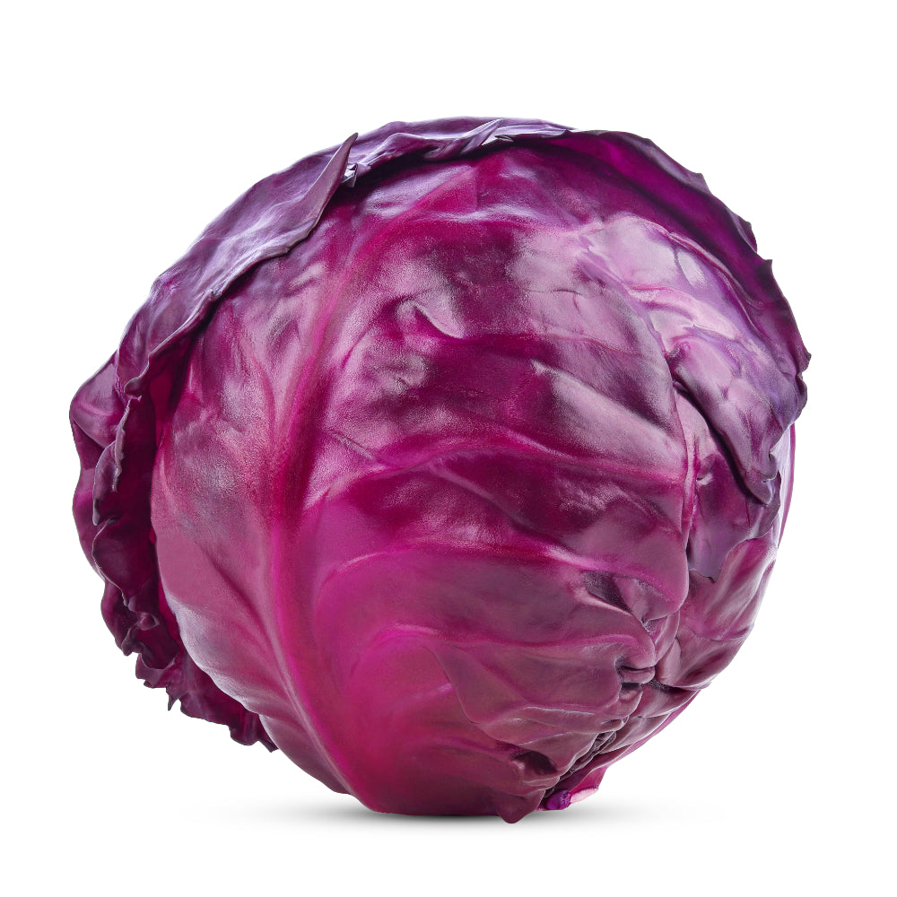 Rotkohl (U-Ware)